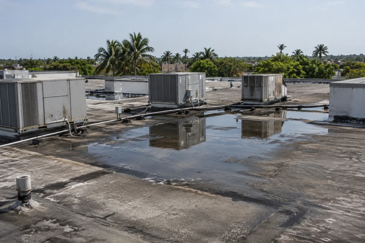 Ponding Water Roof Repair in Gainesville, FL