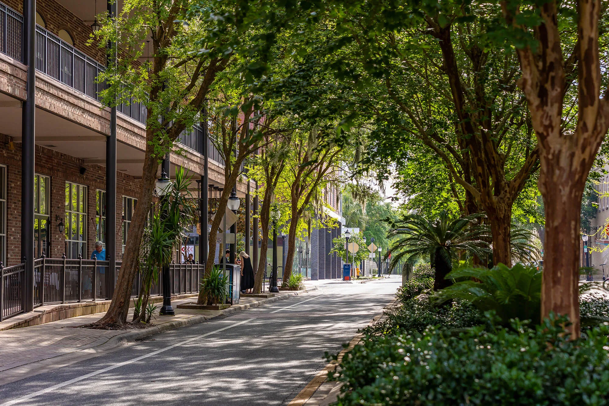 Commercial Roofing in Alachua, FL