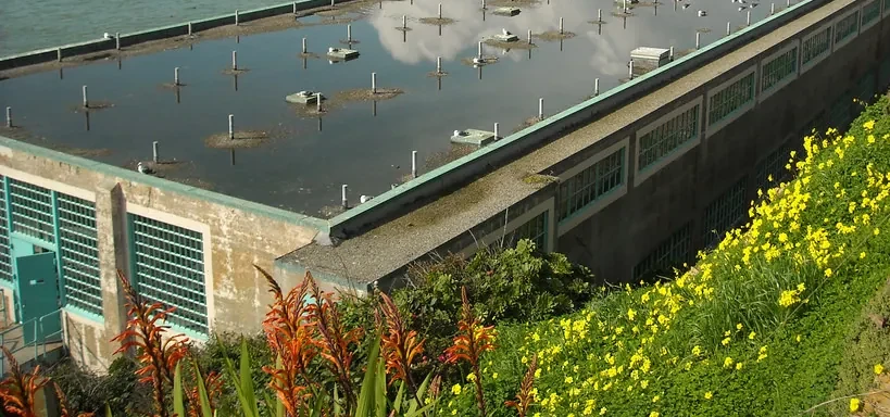 Commercial Roof Drains and Scupper Repair in Gainesville, FL